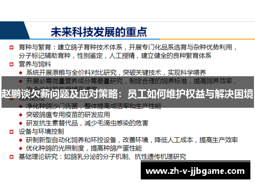 赵鹏谈欠薪问题及应对策略：员工如何维护权益与解决困境