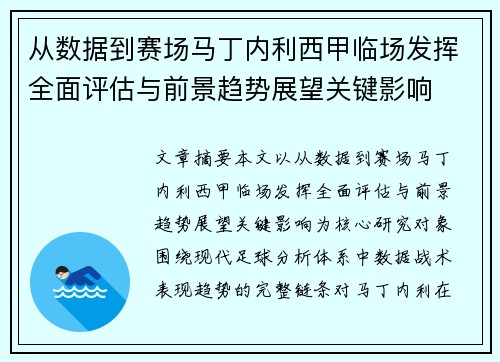 从数据到赛场马丁内利西甲临场发挥全面评估与前景趋势展望关键影响